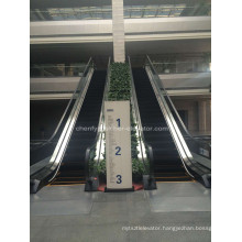 Slim Type Indoor or Outdoor Escalators